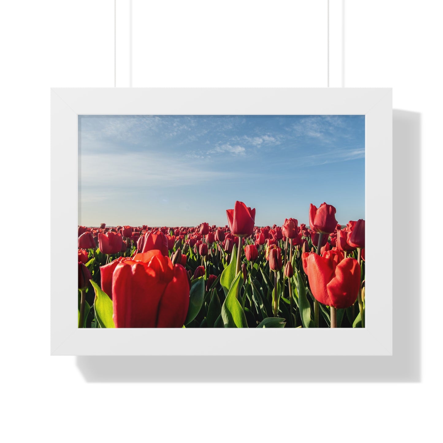 Framed Horizontal Poster