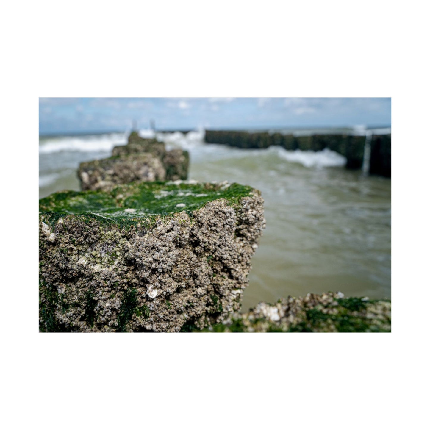 Satin Poster - Wadden Sea Panoramic View, Rocks
