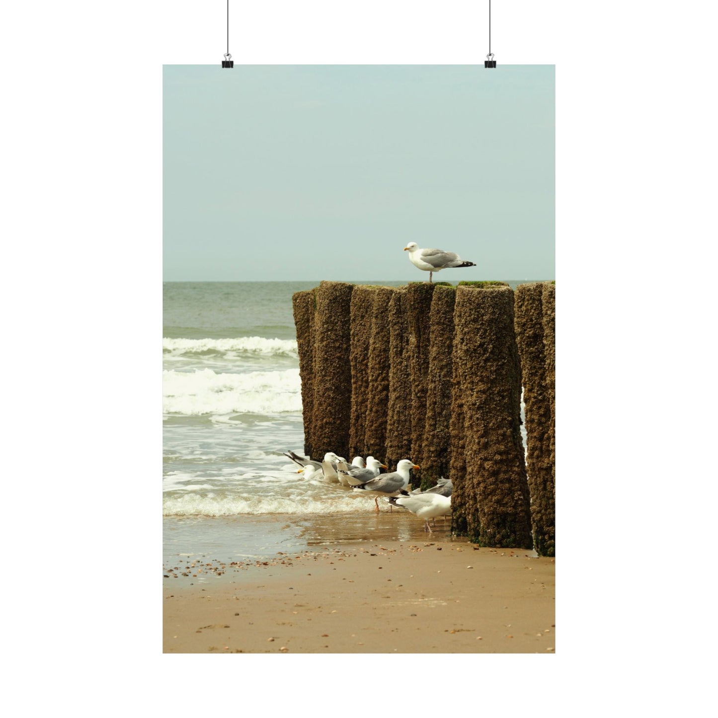 Satin Posters (210gsm)