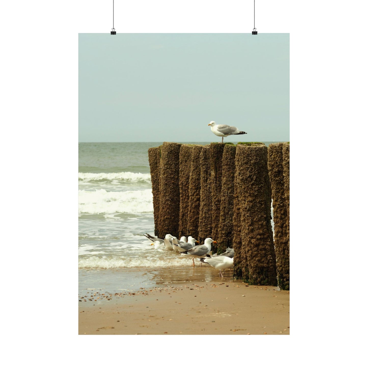 Satin Posters (210gsm)