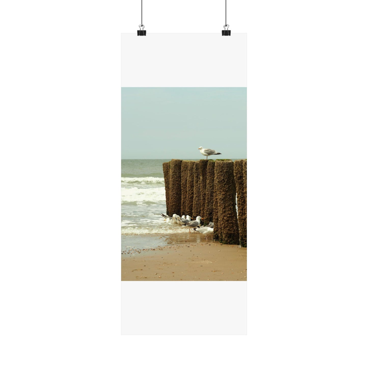 Satin Posters (210gsm)