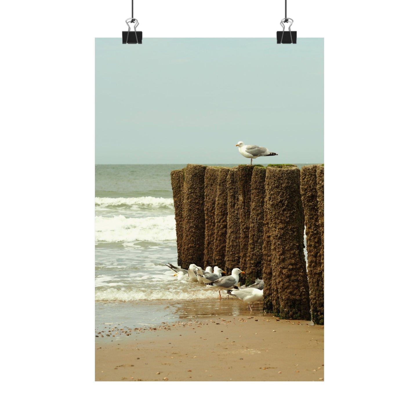 Satin Posters (210gsm)