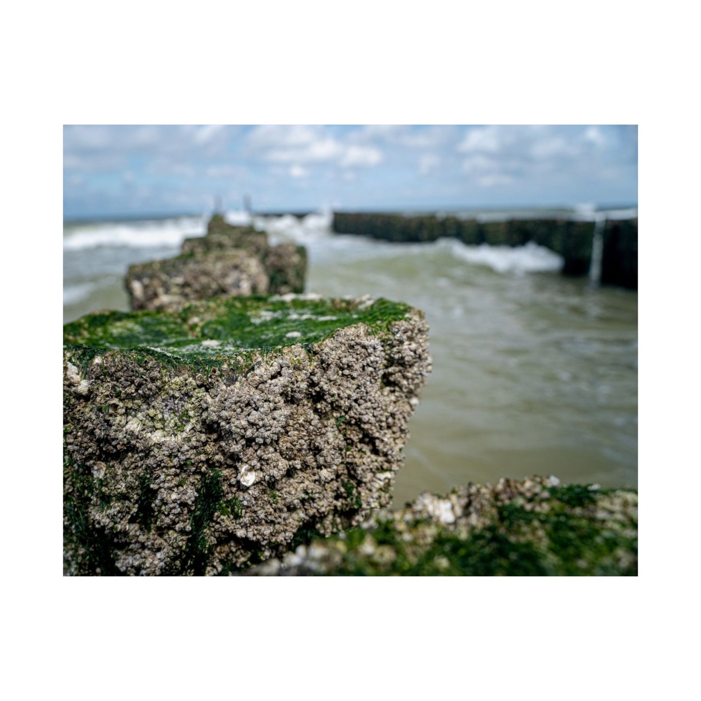 Satin Poster - Wadden Sea Panoramic View, Rocks