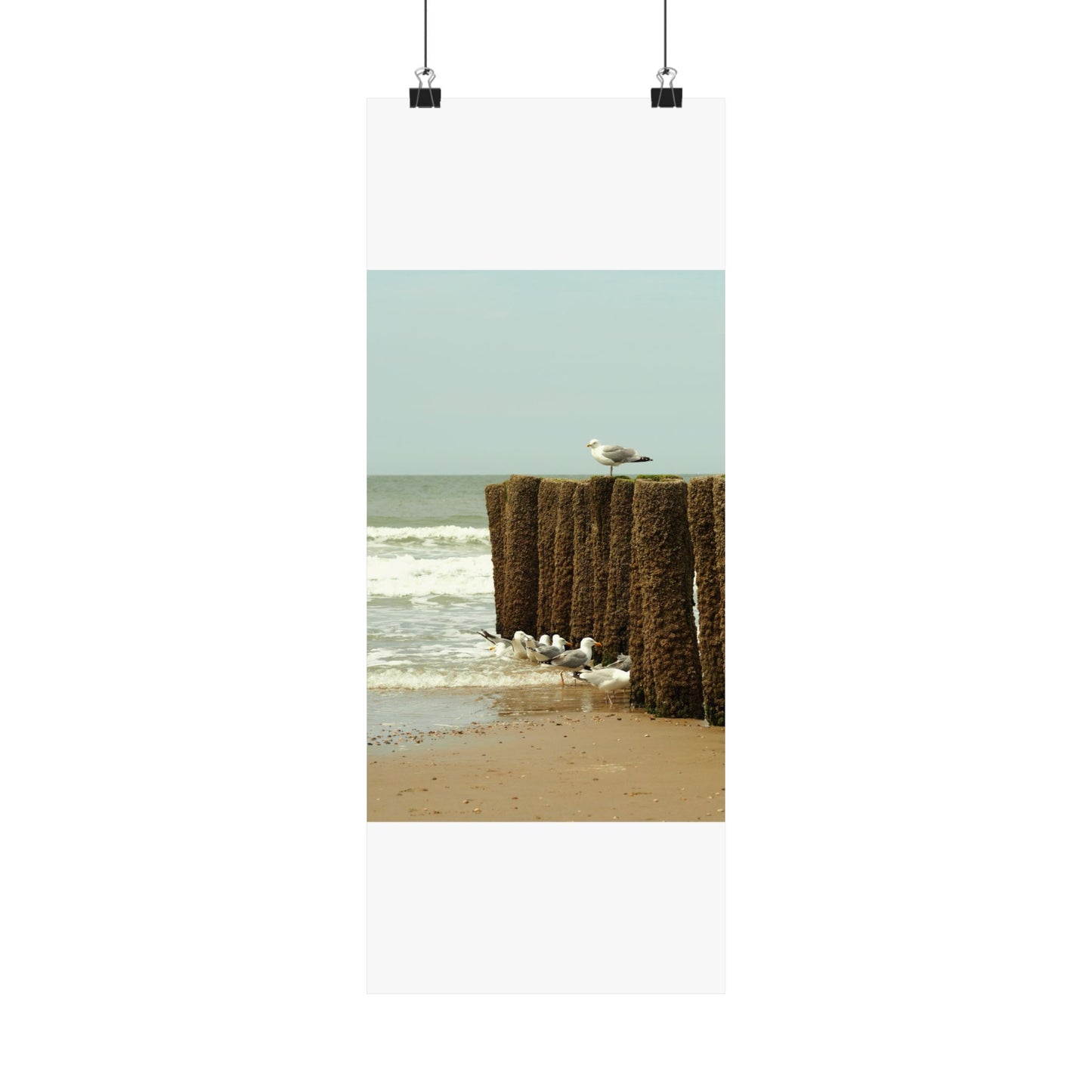 Satin Posters (210gsm)