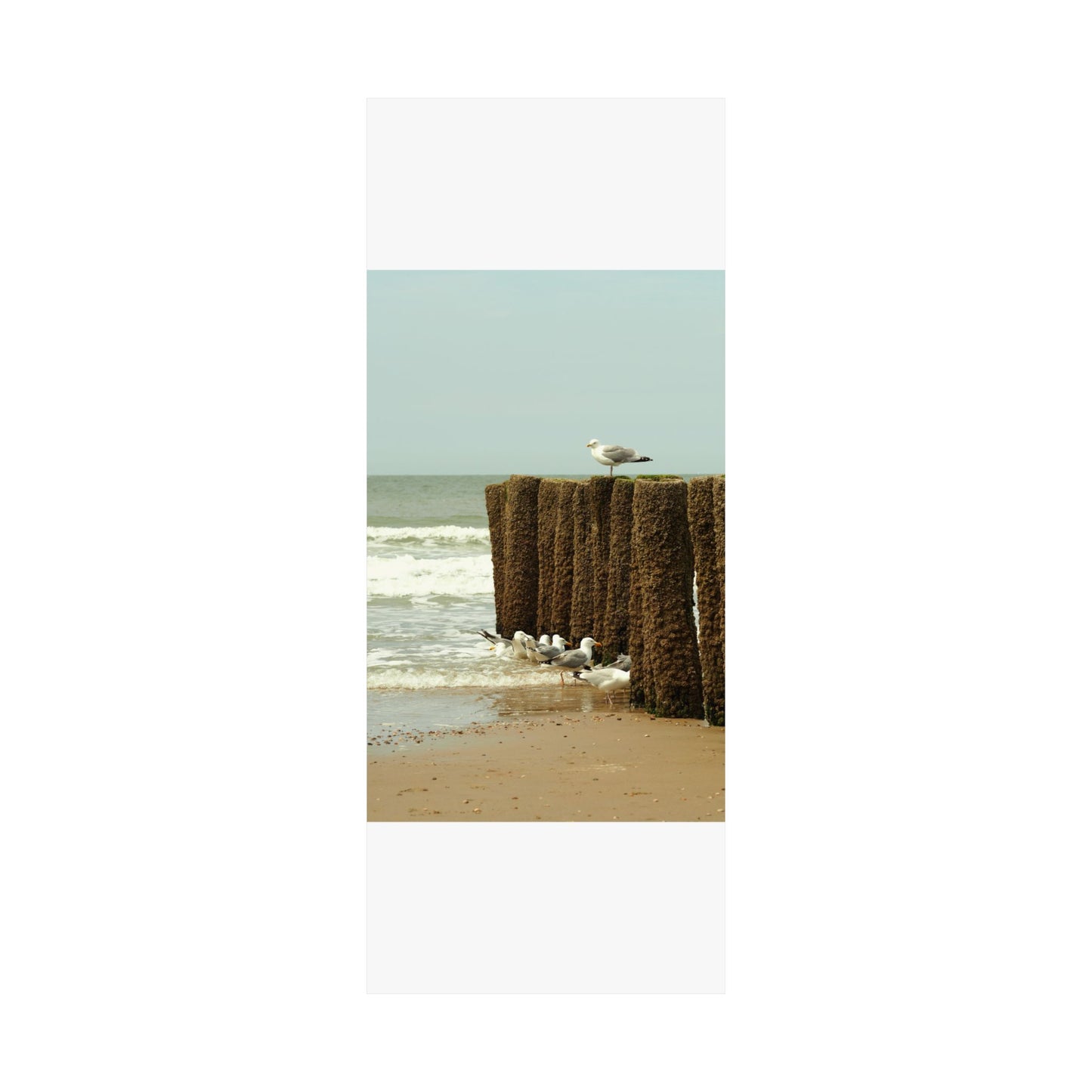 Satin Posters (210gsm)