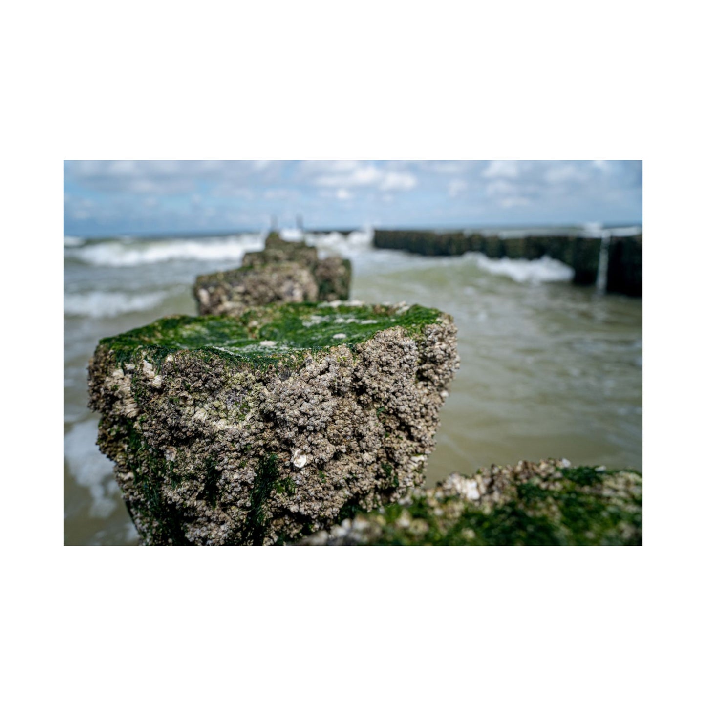 Satin Poster - Wadden Sea Panoramic View, Rocks