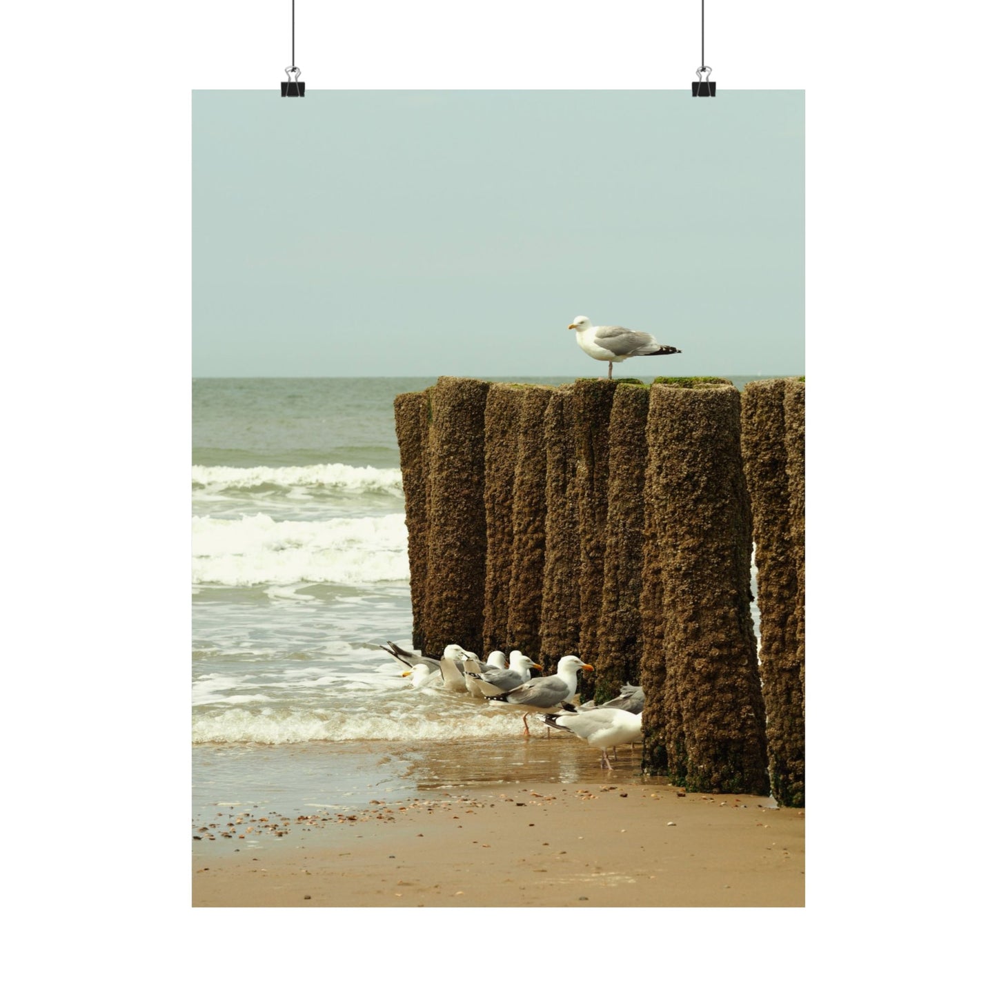 Satin Posters (210gsm)