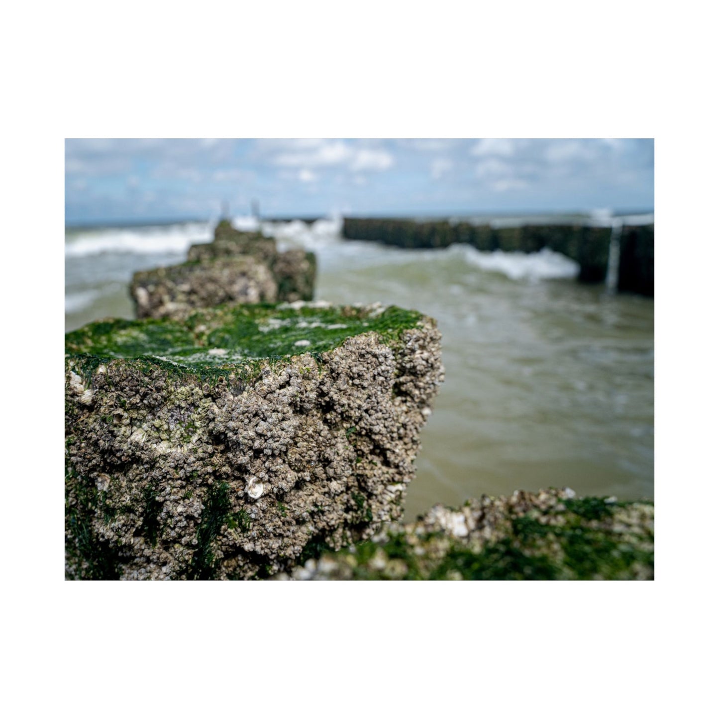 Satin Poster - Wadden Sea Panoramic View, Rocks