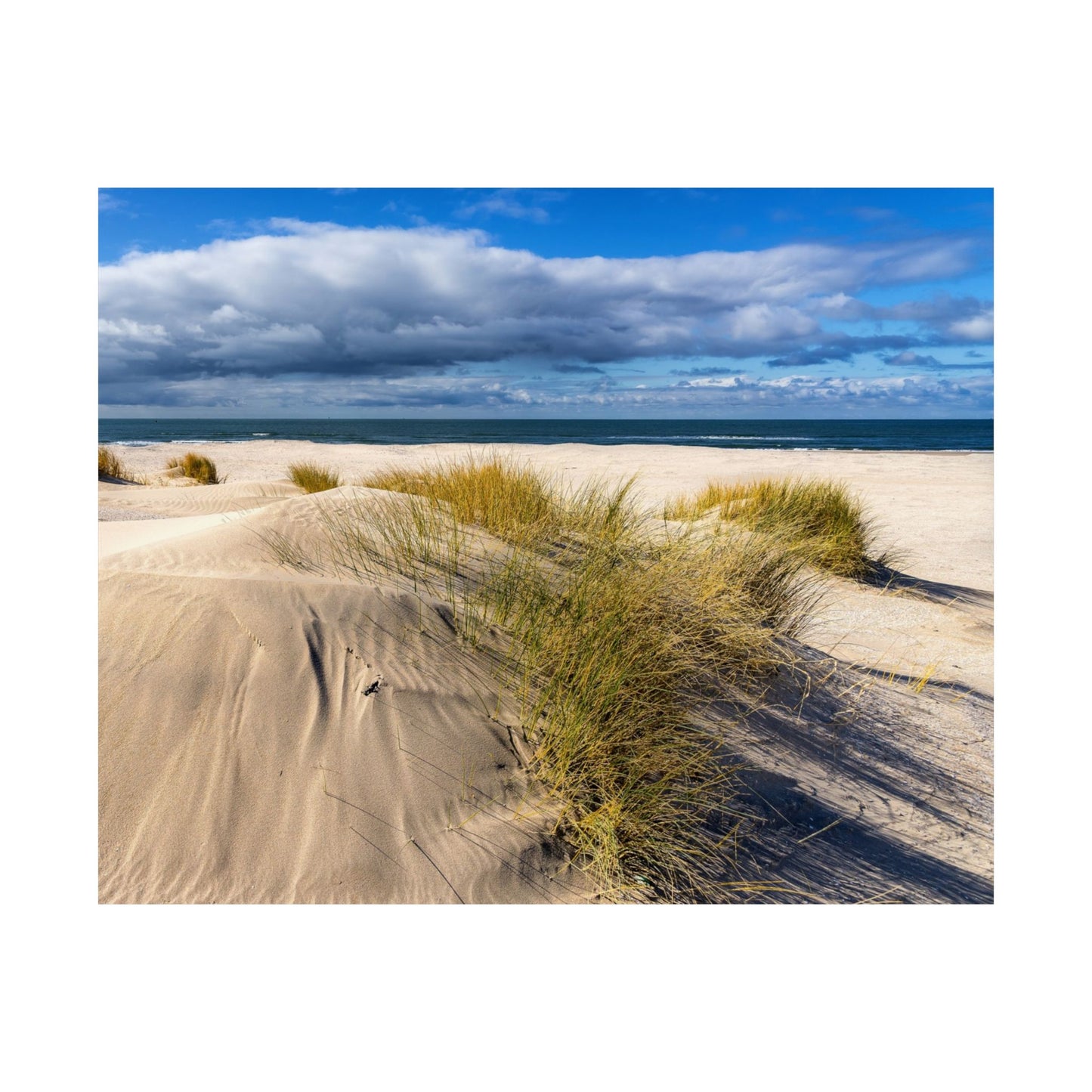 Satin Poster - Beach in Holland Summer Scene