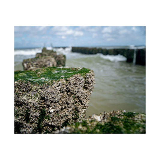 Satin Poster - Wadden Sea Panoramic View, Rocks