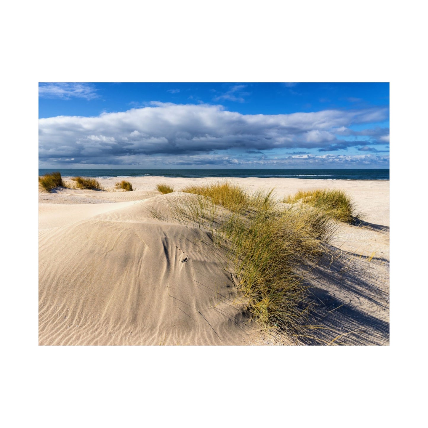 Satin Poster - Beach in Holland Summer Scene