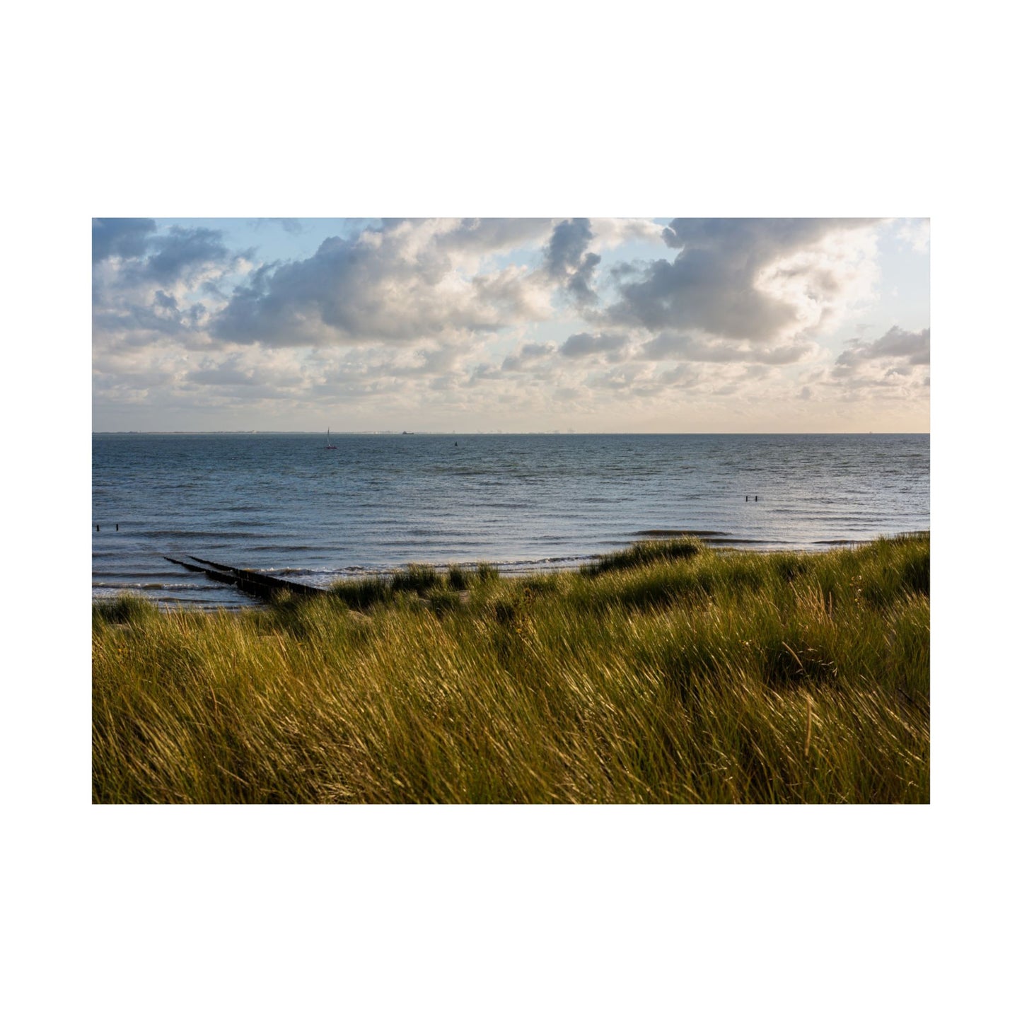 Satin Poster - Beautiful Shot Sandy Beach Cloudy Sky Vlissingen Zeeland Netherlands