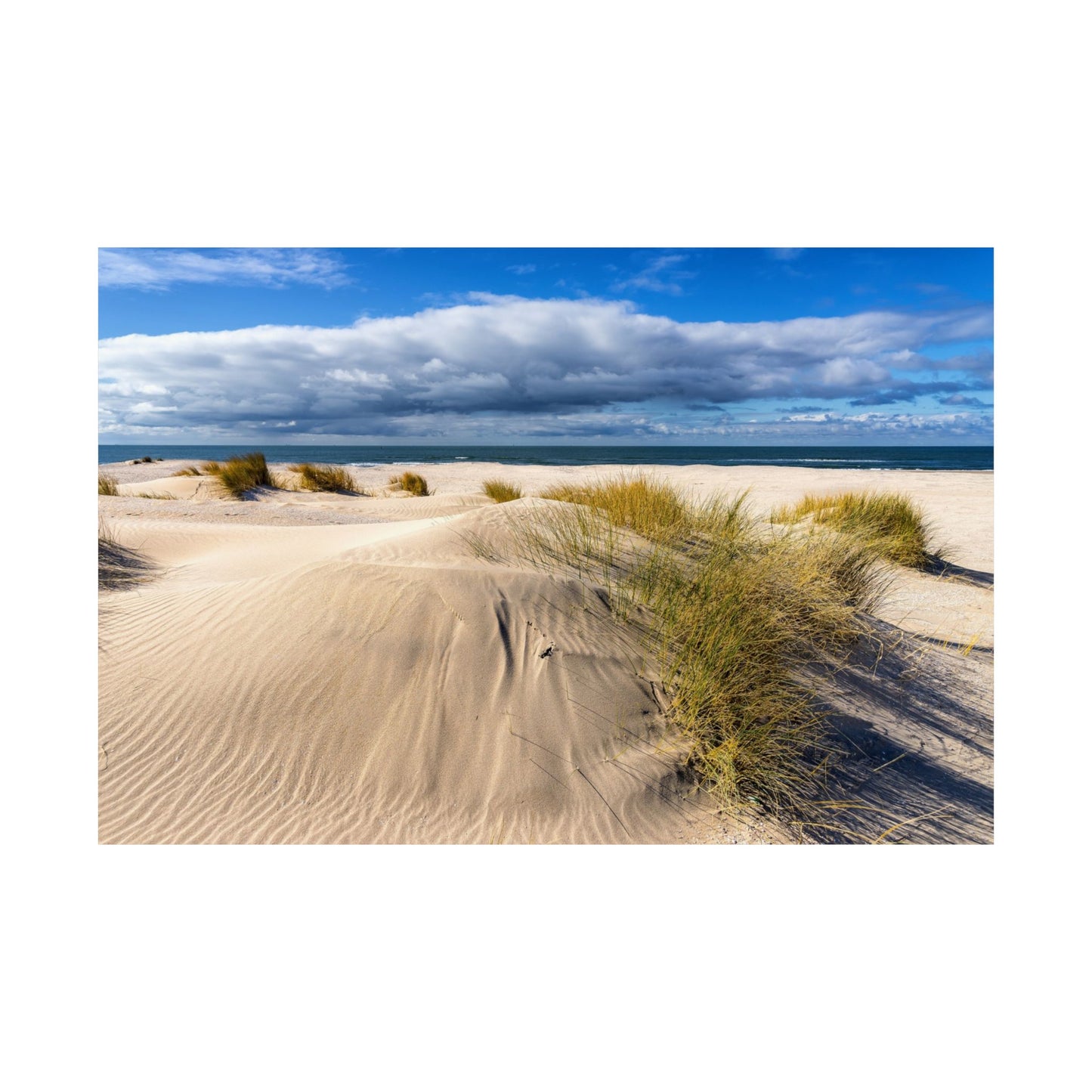 Satin Poster - Beach in Holland Summer Scene