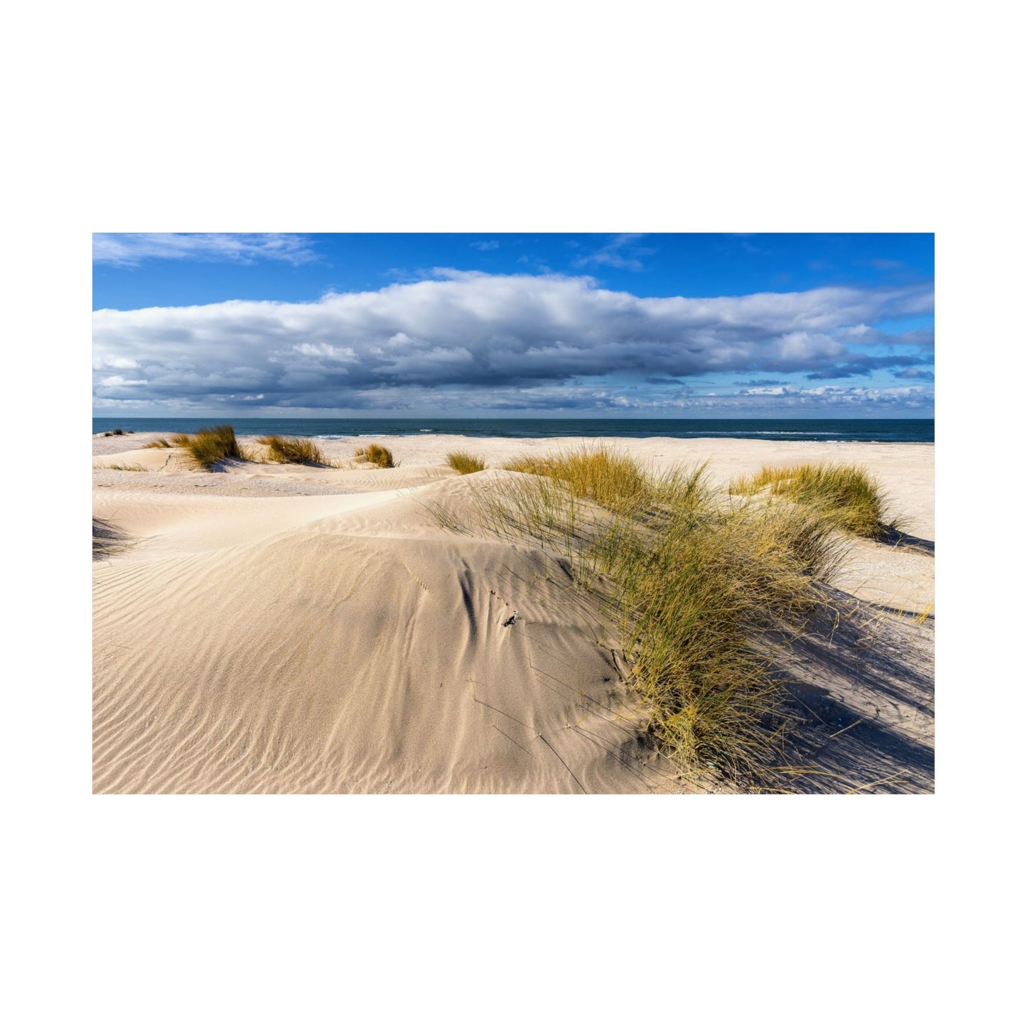 Satin Poster - Beach in Holland Summer Scene