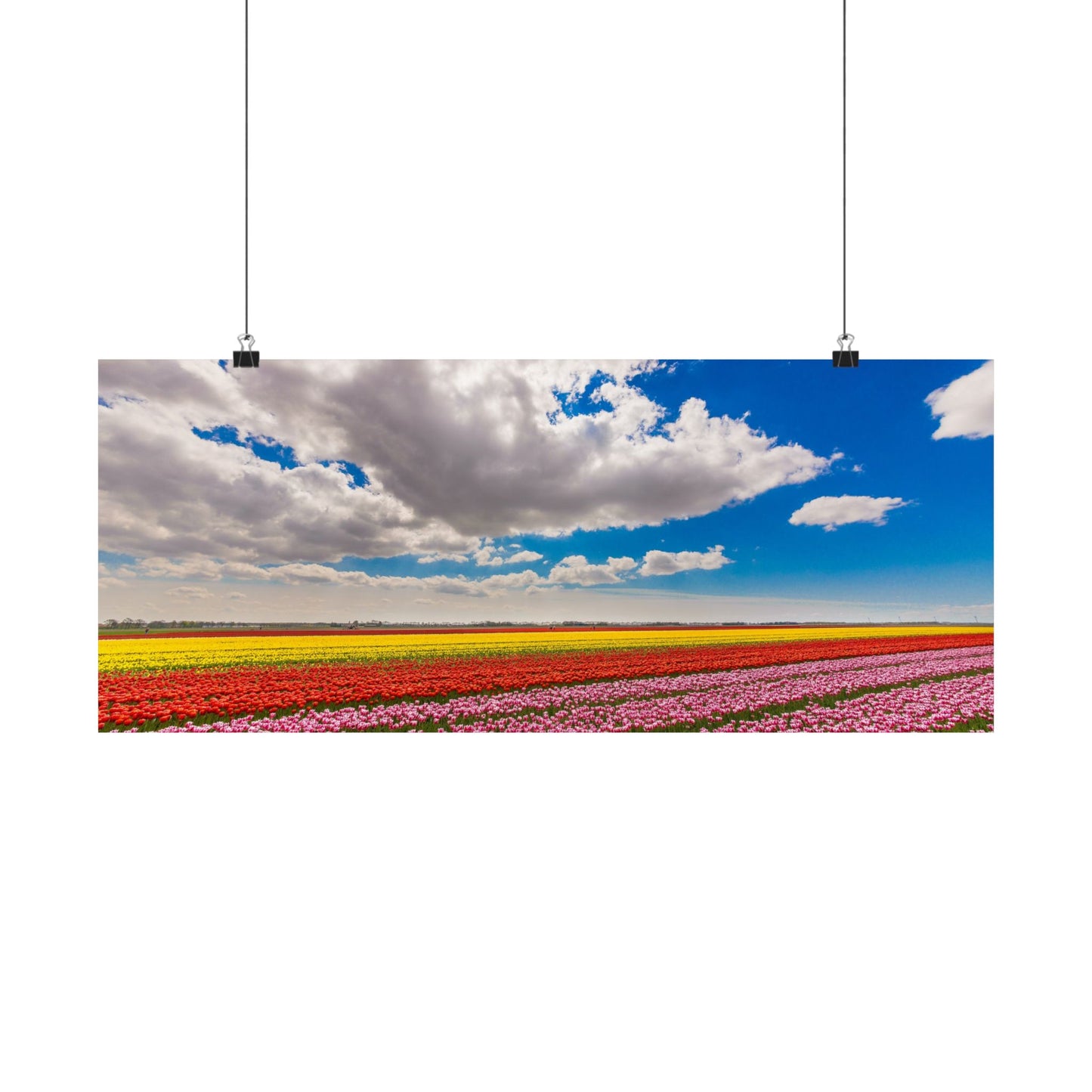 Satin Poster - Dutch Landscape Bulb Field and Flowers