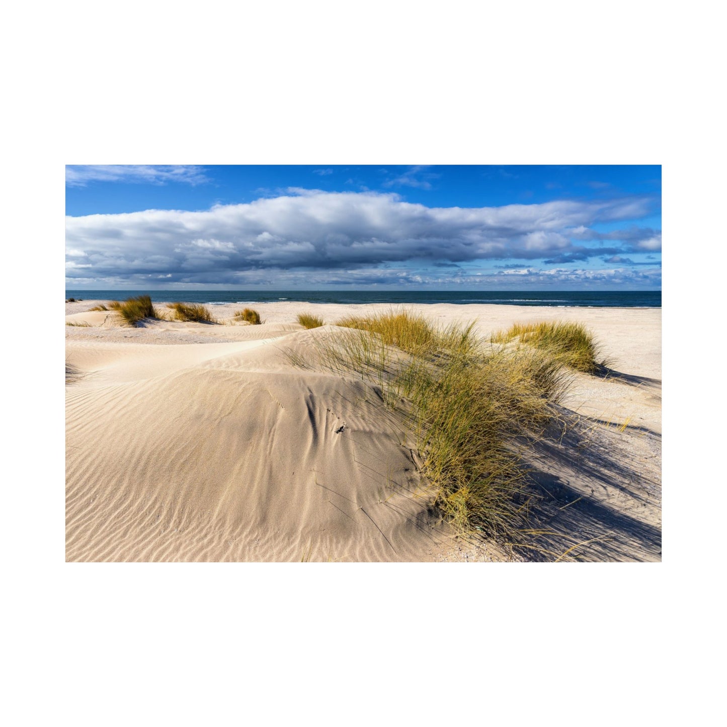 Satin Poster - Beach in Holland Summer Scene