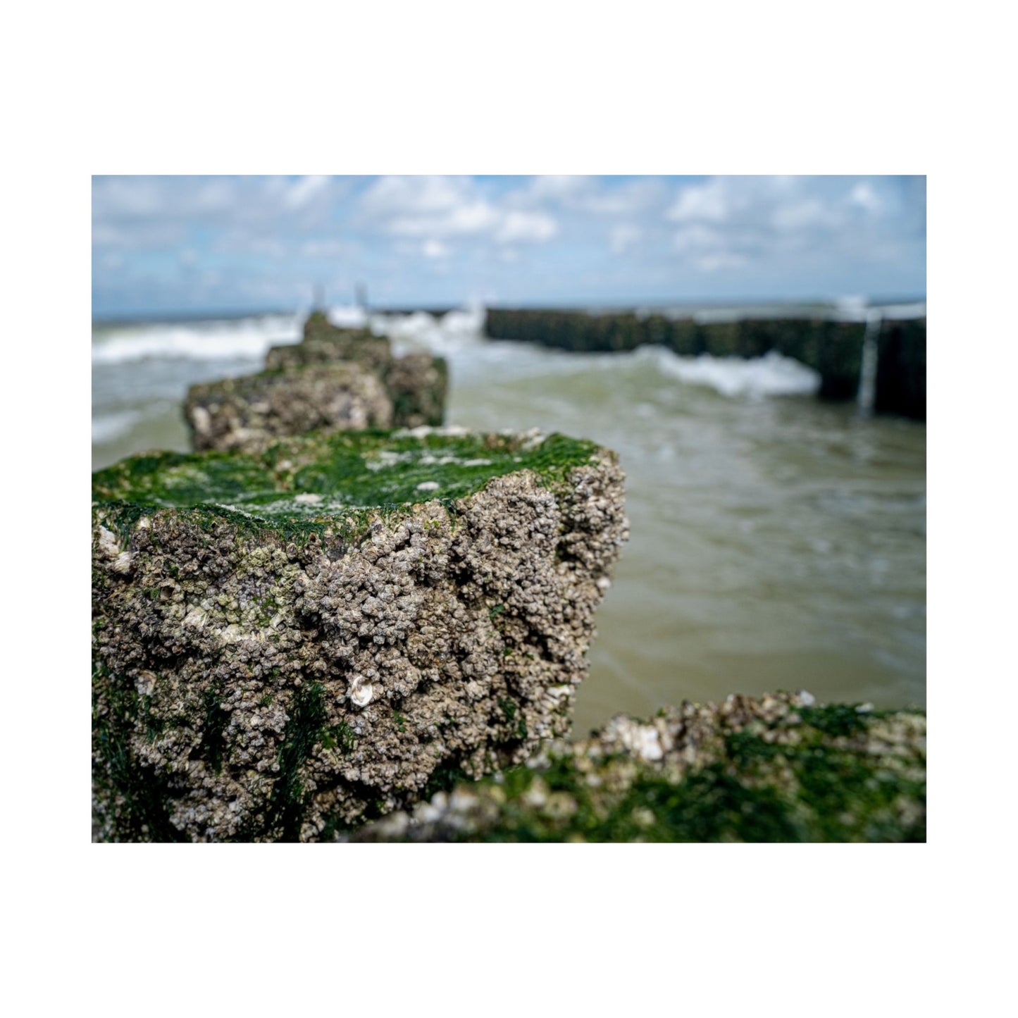 Satin Poster - Wadden Sea Panoramic View, Rocks