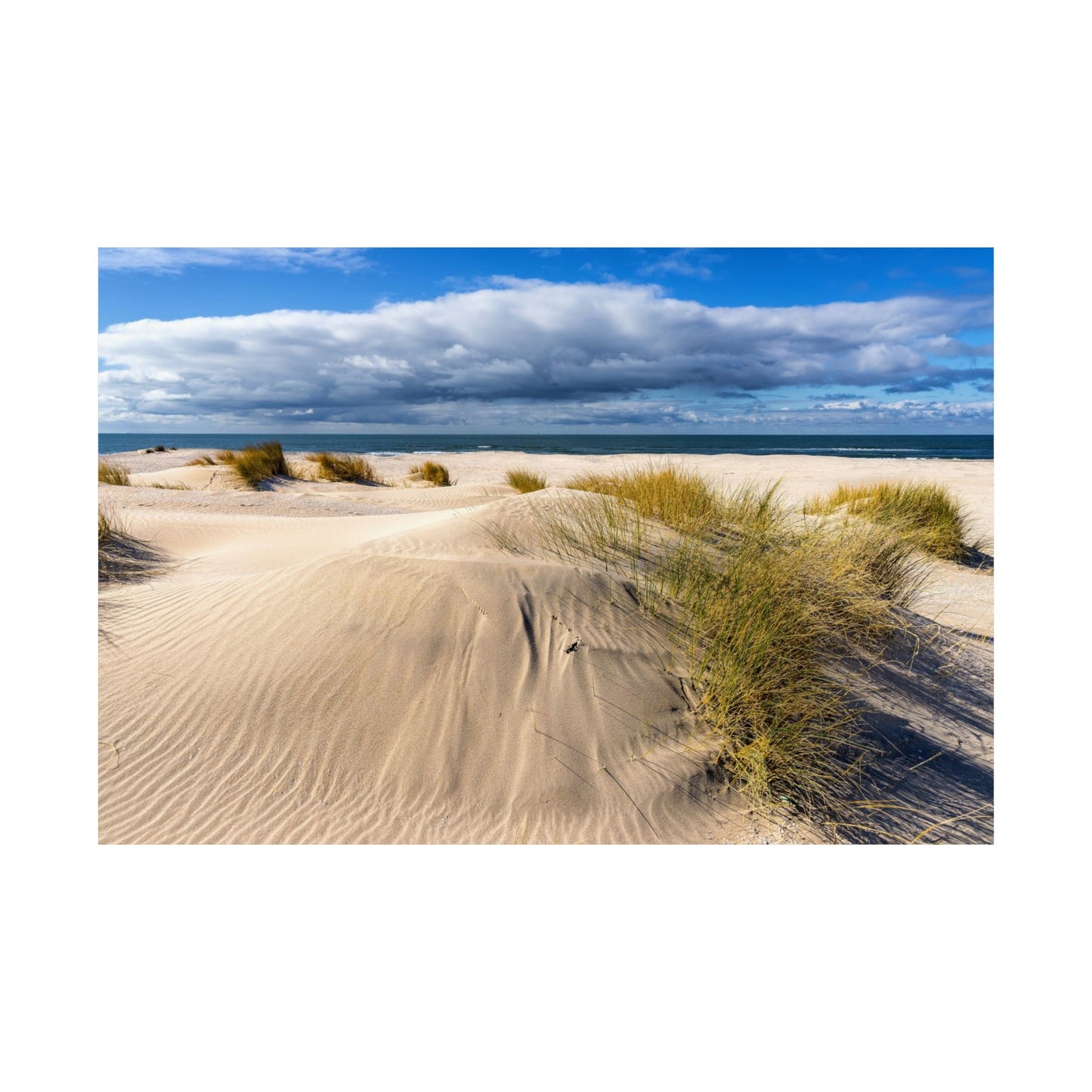 Satin Poster - Beach in Holland Summer Scene